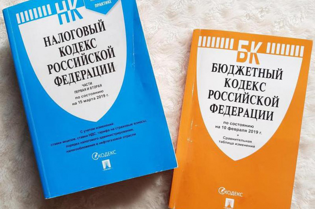 В Госдуме инициируют подготовку новых редакций Налогового и Бюджетного кодексов
